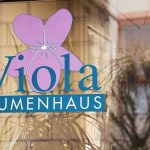 blumenhaus-rothrist-viola